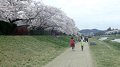 p4041659_thumb.jpg