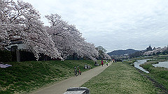 p4041660_thumb.jpg