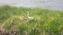 p4041662_thumb.jpg
