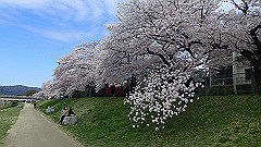 p4041663_thumb.jpg