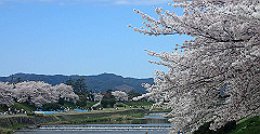 p4041667_thumb.jpg