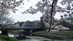 p4041668_thumb.jpg