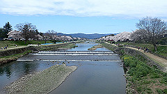 p4041669_thumb.jpg