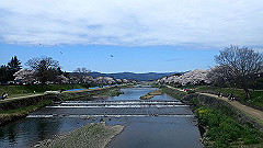 p4041670_thumb.jpg