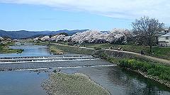 p4041671_thumb.jpg