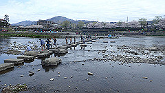 p4041679_thumb.jpg