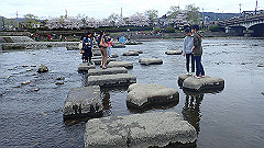 p4041681_thumb.jpg