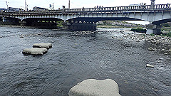 p4041682_thumb.jpg