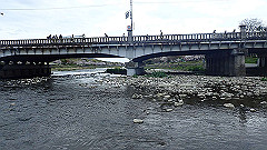 p4041683_thumb.jpg