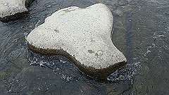 p4041684_thumb.jpg