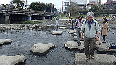 p4041685_thumb.jpg