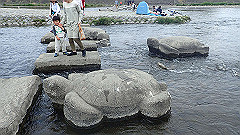 p4041686_thumb.jpg