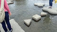 p4041688_thumb.jpg