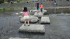 p4041689_thumb.jpg