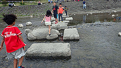 p4041690_thumb.jpg