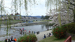 p4041692_thumb.jpg
