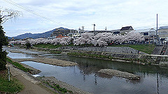 p4041695_thumb.jpg