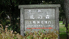 p4041696_thumb.jpg