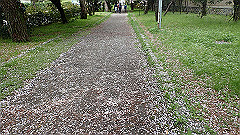 p4041699_thumb.jpg