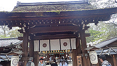 p4041702_thumb.jpg