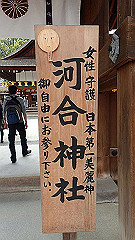 p4041703_thumb.jpg