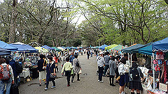 p4041712_thumb.jpg
