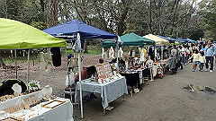 p4041713_thumb.jpg