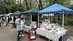 p4041714_thumb.jpg