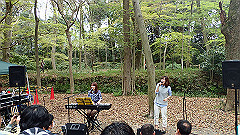 p4041716_thumb.jpg