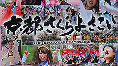 p4041720_thumb.jpg