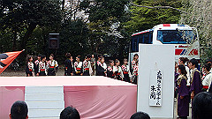 p4041722_thumb.jpg