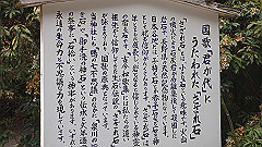 p4041733_thumb.jpg