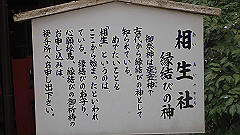 p4041735_thumb.jpg