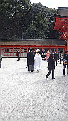 p4041740_thumb.jpg