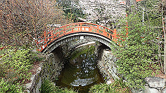 p4041744_thumb.jpg