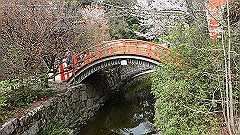 p4041745_thumb.jpg