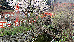 p4041750_thumb.jpg