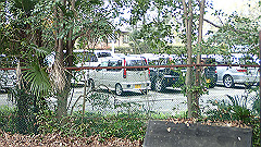 p4041755_thumb.jpg