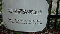 p4041756_thumb.jpg