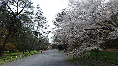 p4041763_thumb.jpg