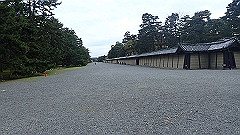 p4041764_thumb.jpg