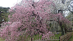 p4041765_thumb.jpg