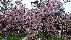 p4041766_thumb.jpg