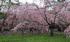 p4041768_thumb.jpg
