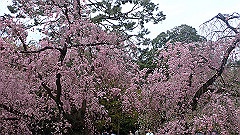 p4041770_thumb.jpg