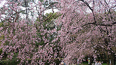 p4041771_thumb.jpg