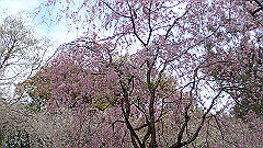 p4041772_thumb.jpg