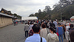 p4041776_thumb.jpg