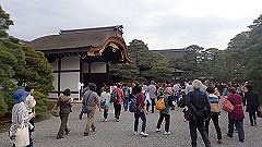 p4041779_thumb.jpg