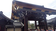 p4041780_thumb.jpg
